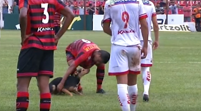 perro-interrumpe-partido-futbol-brasil (1)