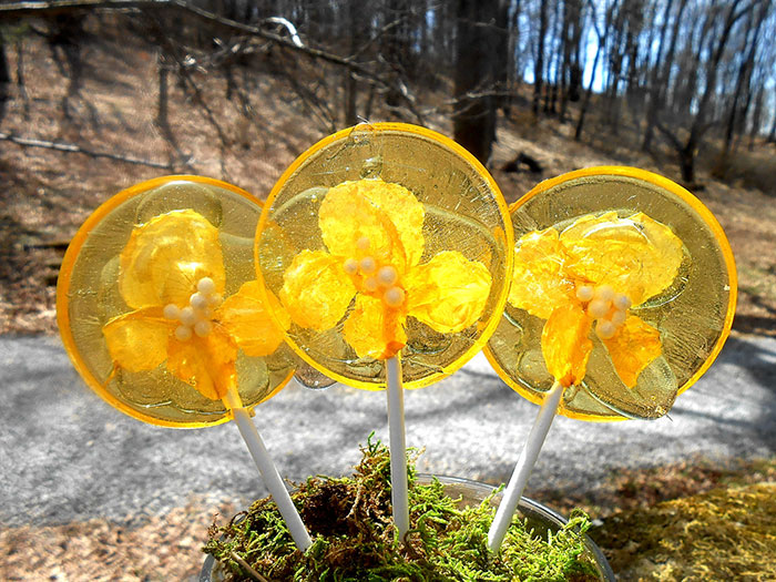 piruletas-petalos-flores-sugar-bakers-bakery (3)