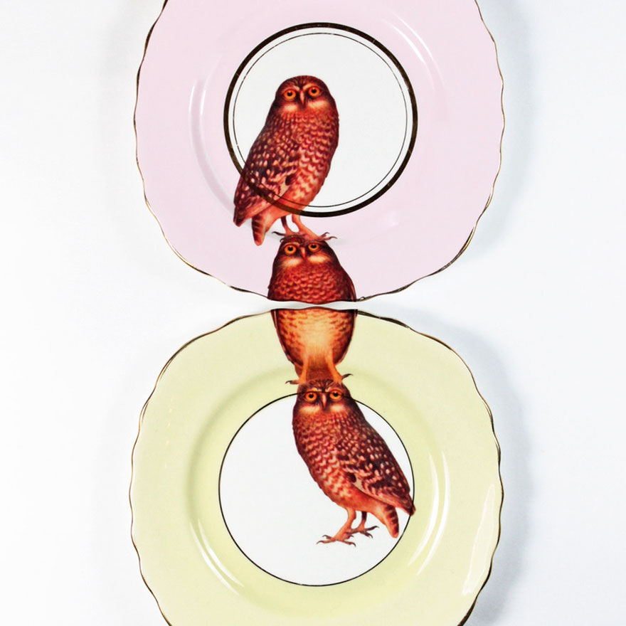 platos-porcelana-china-pinturas-animales-yvonne-ellen (2)