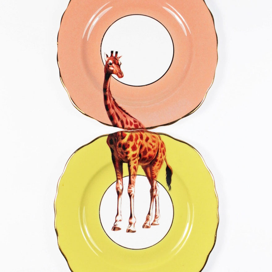platos-porcelana-china-pinturas-animales-yvonne-ellen (9)
