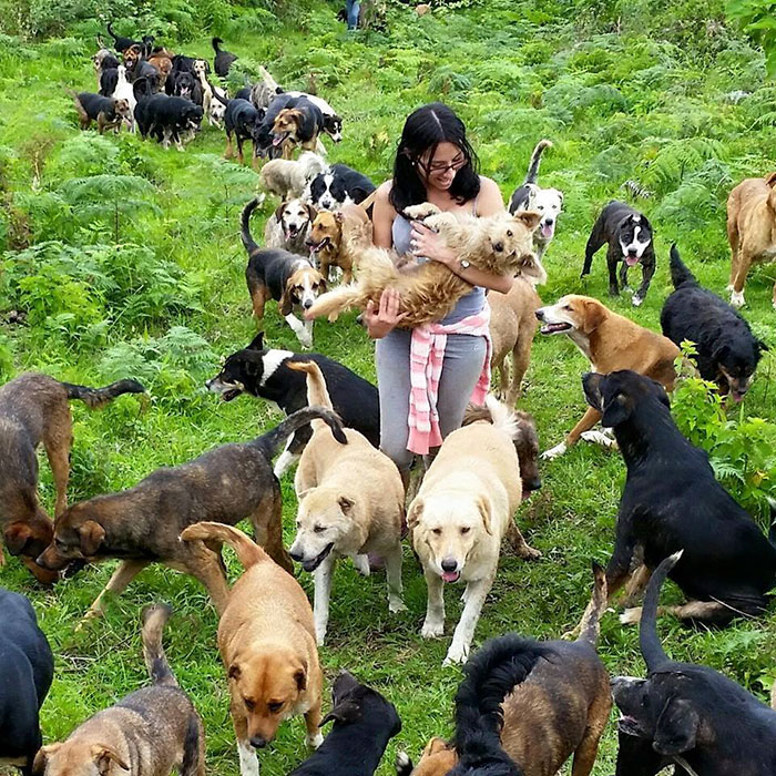 refugio-perros-mestizos-territorio-zaguates-costa-rica (4)