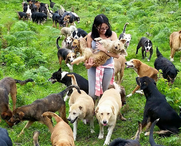 Territorio de Zaguates en Costa Rica es el paraíso para los perros callejeros
