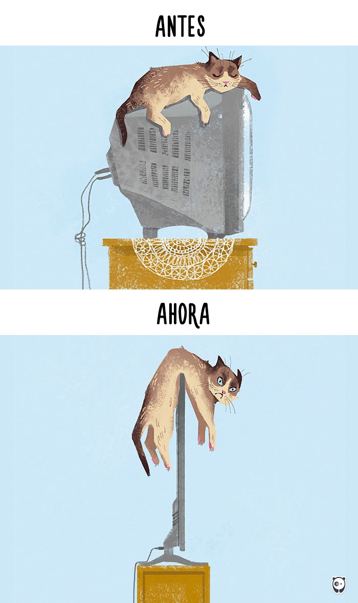 antes-ahora-gatos-tecnologia-1