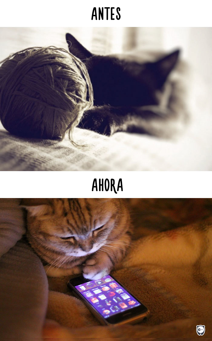 antes-ahora-gatos-tecnologia-2