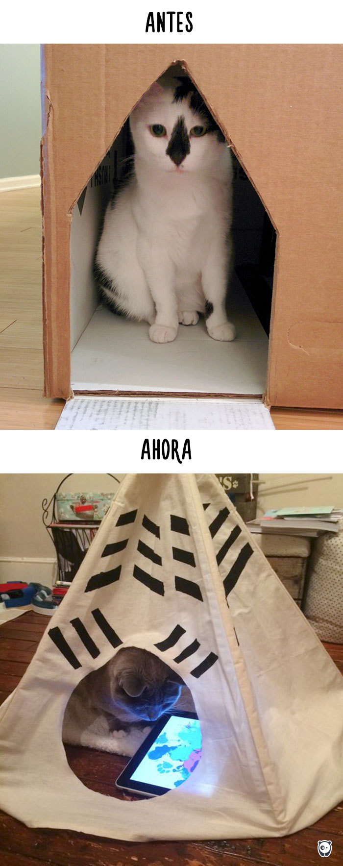 antes-ahora-gatos-tecnologia-8