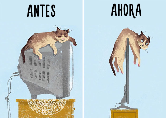 Antes y ahora: Cómo la tecnología ha cambiado la vida de los gatos