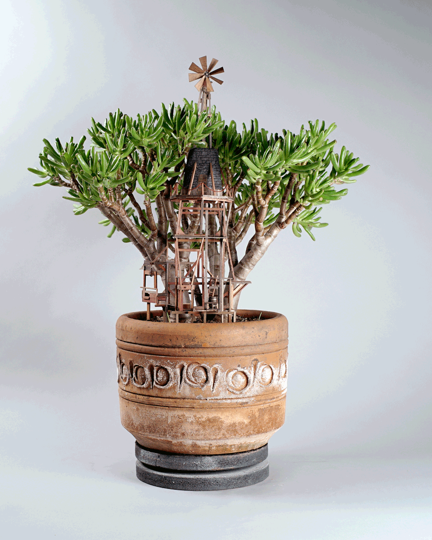 casitas-diminutas-en-las-plantas-jedediah-corwyn (1)