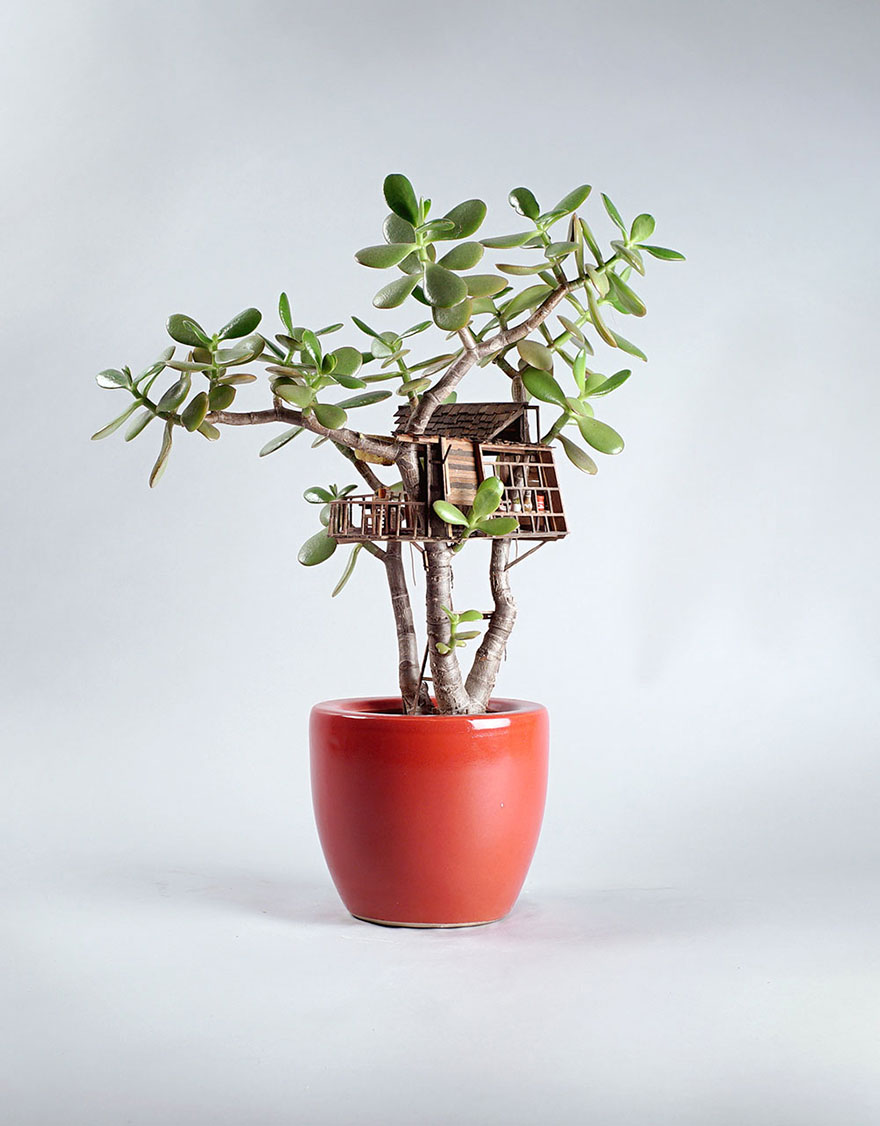 casitas-diminutas-en-las-plantas-jedediah-corwyn (1)