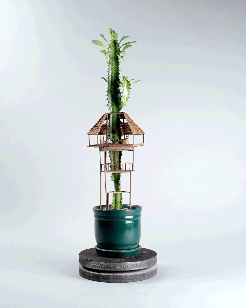 casitas-diminutas-en-las-plantas-jedediah-corwyn (2)