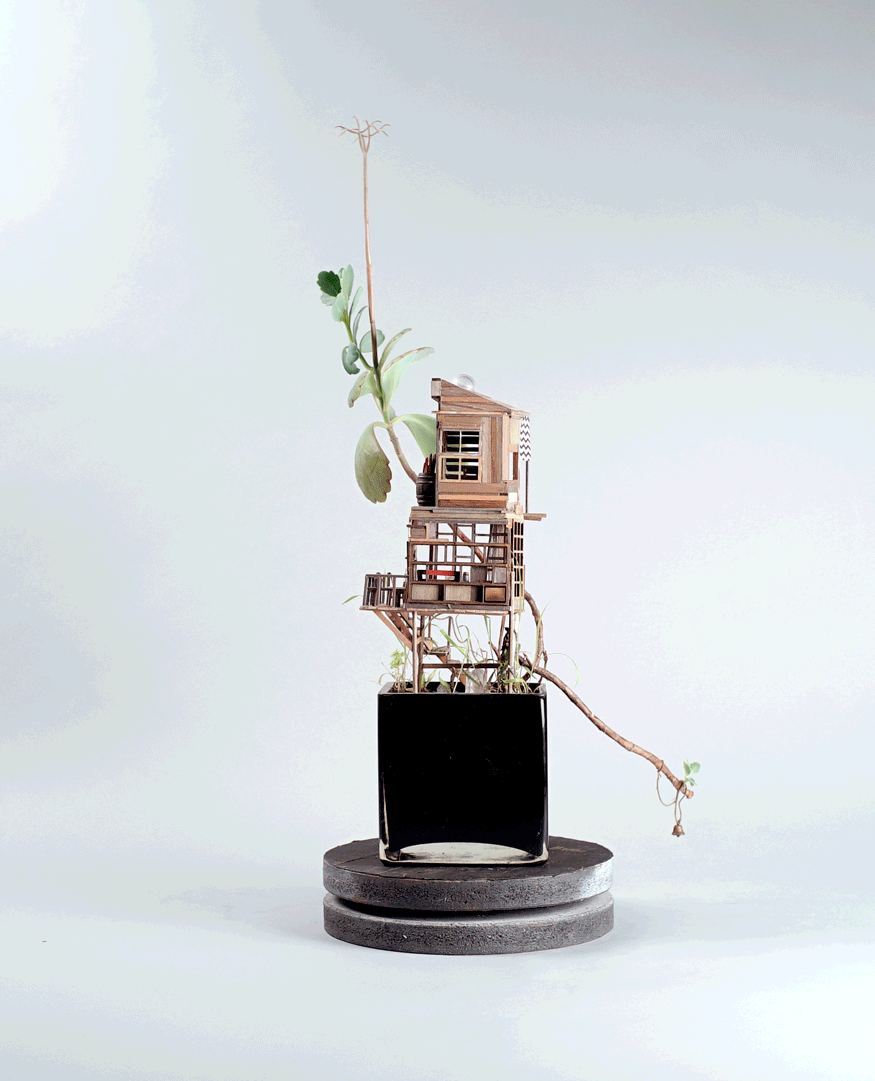 casitas-diminutas-en-las-plantas-jedediah-corwyn (3)