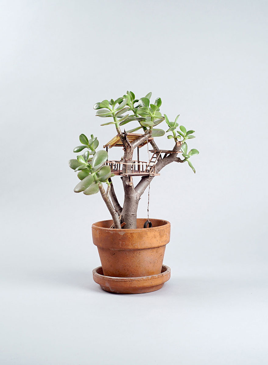 casitas-diminutas-en-las-plantas-jedediah-corwyn (3)