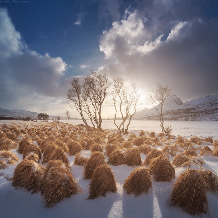 donald-trump-cultivando-su-pelo-en-tromso-noruega (2)