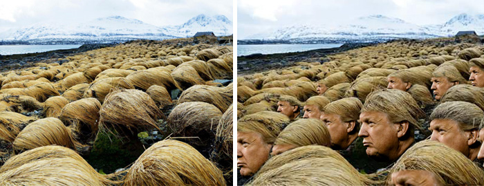 donald-trump-cultivando-su-pelo-en-tromso-noruega (4)