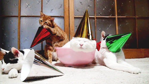 fiestas-cumpleanos-animales (1)