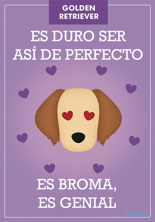 ilustraciones-eslogan-razas-perros-5