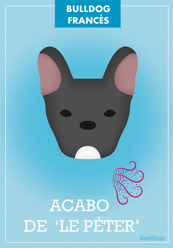 ilustraciones-eslogan-razas-perros-6