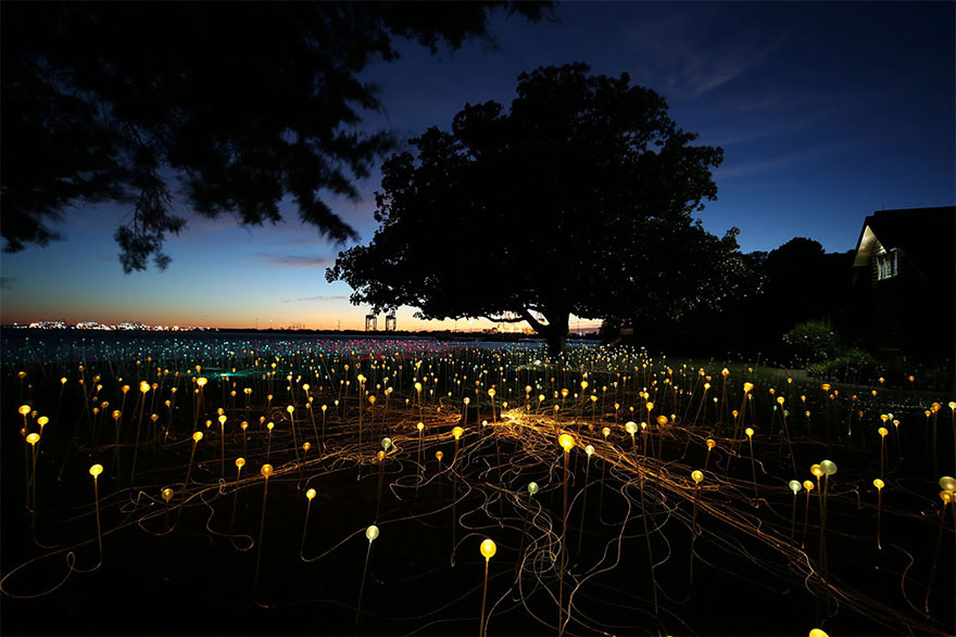 instalacion-luminica-campo-luz-bruce-munro-uluru (1)