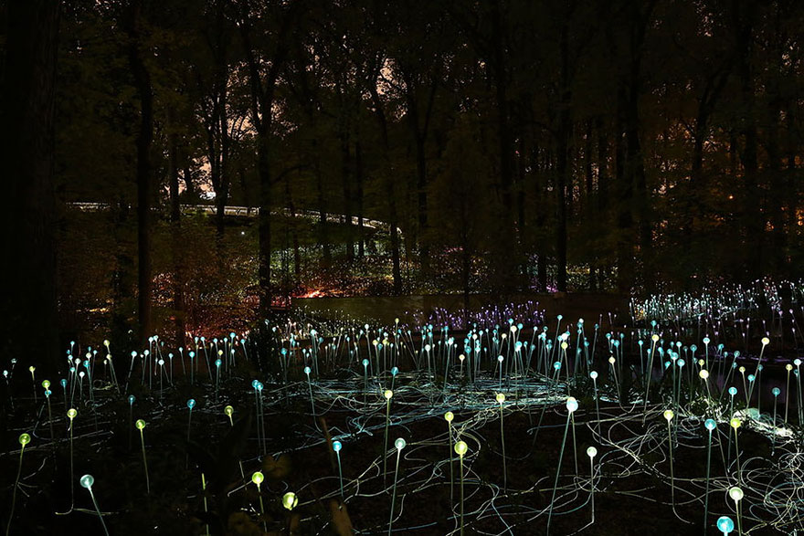 instalacion-luminica-campo-luz-bruce-munro-uluru (10)