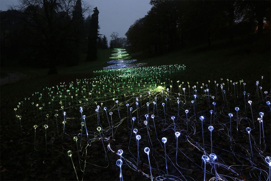 instalacion-luminica-campo-luz-bruce-munro-uluru (2)