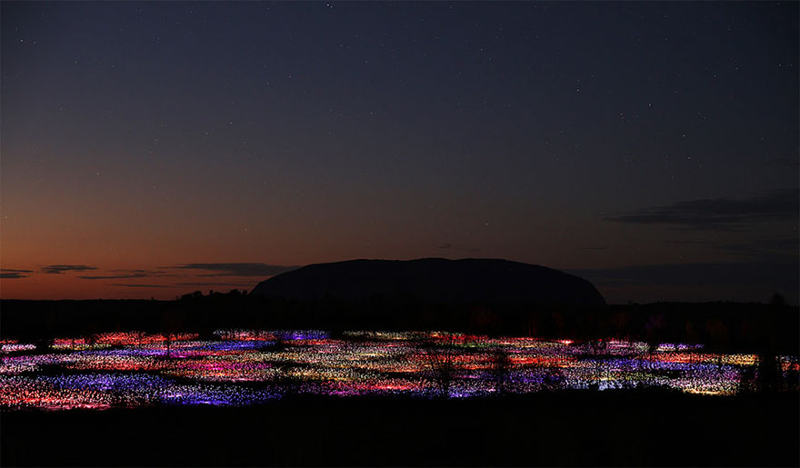 instalacion-luminica-campo-luz-bruce-munro-uluru (4)