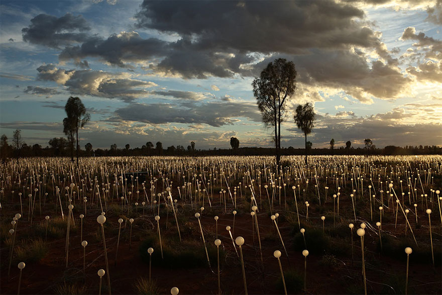 instalacion-luminica-campo-luz-bruce-munro-uluru (6)