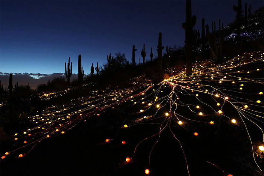 instalacion-luminica-campo-luz-bruce-munro-uluru (8)