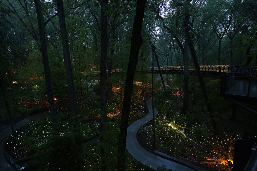 instalacion-luminica-campo-luz-bruce-munro-uluru (9)