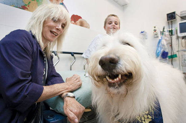 mascotas-visita-pacientes-enfermos-hospital-juravinski-canada (1)