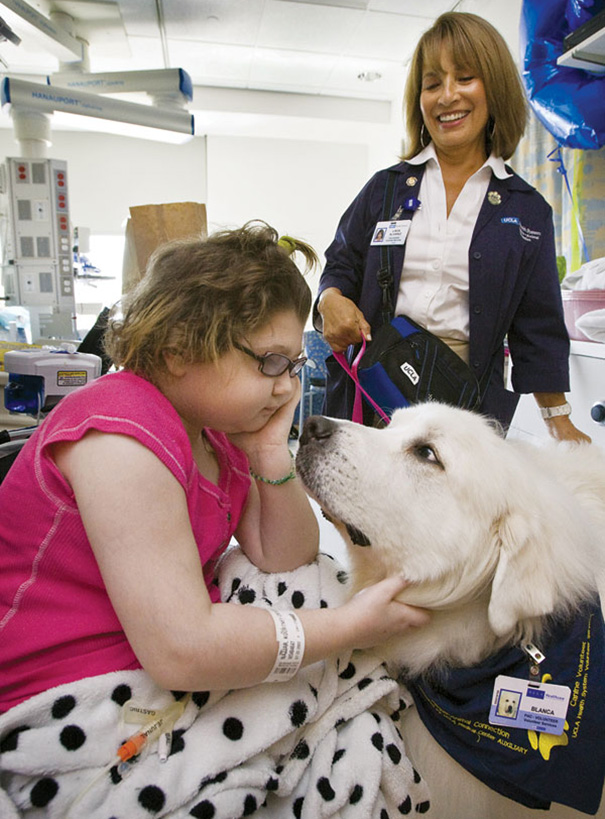 mascotas-visita-pacientes-enfermos-hospital-juravinski-canada (2)