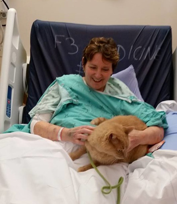 mascotas-visita-pacientes-enfermos-hospital-juravinski-canada (3)