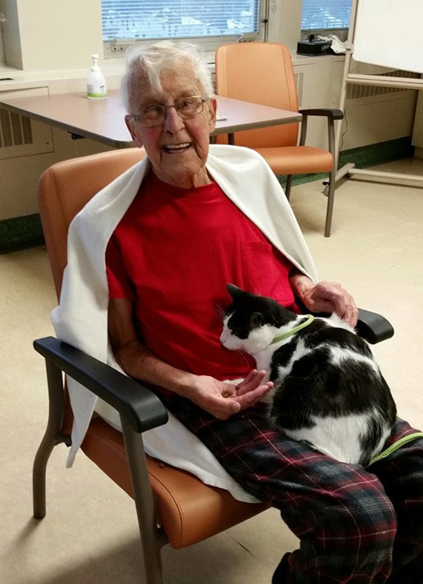 mascotas-visita-pacientes-enfermos-hospital-juravinski-canada (4)