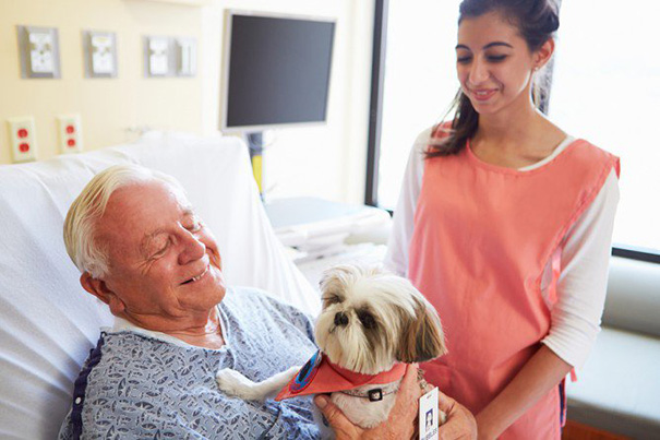 mascotas-visita-pacientes-enfermos-hospital-juravinski-canada (7)