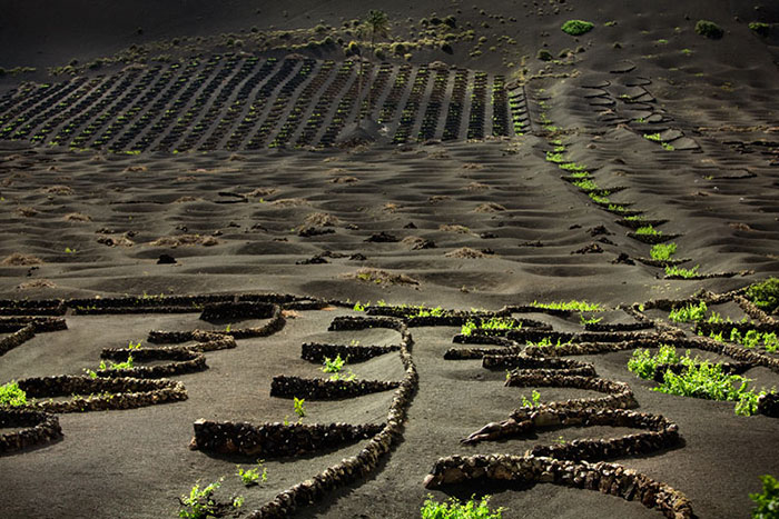 pintura-corporal-camuflaje-proyecto-metamorfosis (4) pintura-corporal-camuflaje-proyecto-metamorfosis (4)