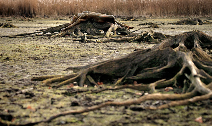 pintura-corporal-camuflaje-proyecto-metamorfosis (7) pintura-corporal-camuflaje-proyecto-metamorfosis (7)