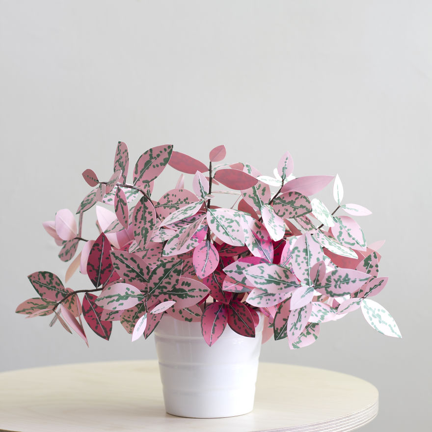 plantas-papel-corrie-beth-hogg (10)