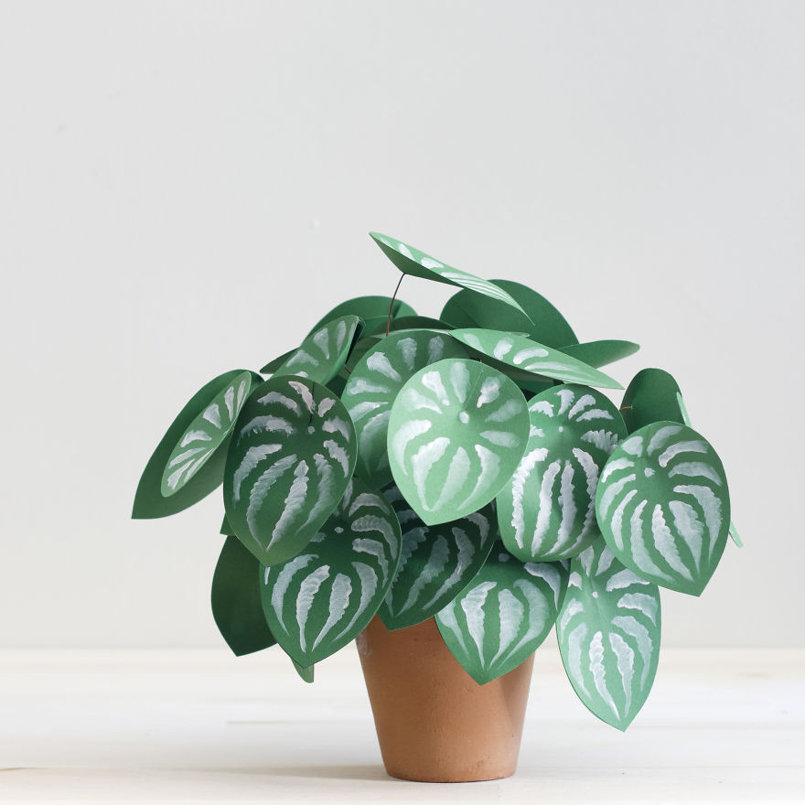 plantas-papel-corrie-beth-hogg (11)