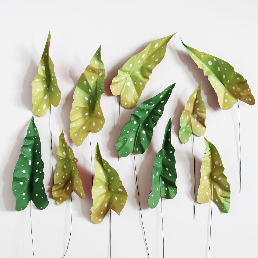 plantas-papel-corrie-beth-hogg (12)