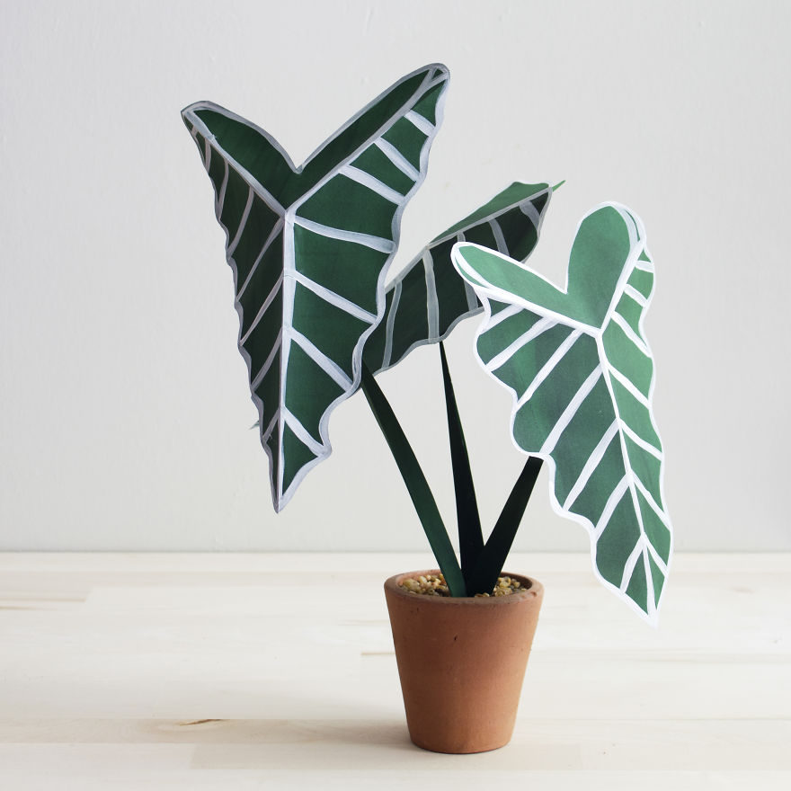 plantas-papel-corrie-beth-hogg (13)