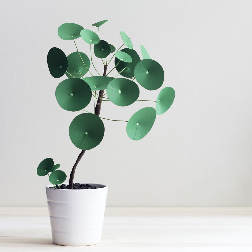 plantas-papel-corrie-beth-hogg (2)