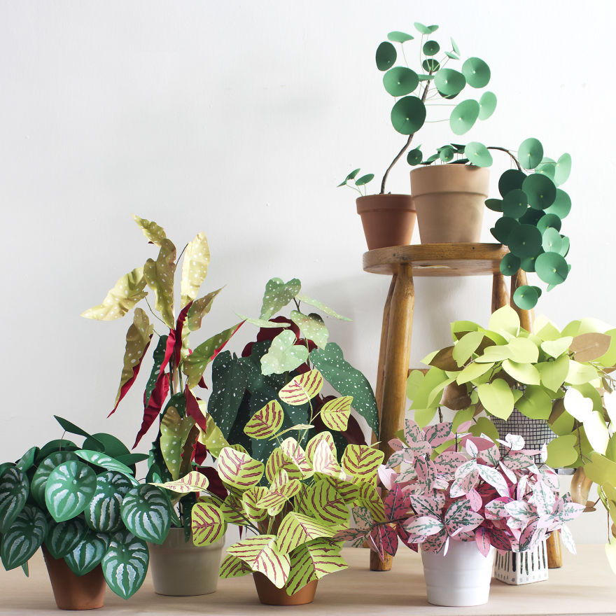 plantas-papel-corrie-beth-hogg (3)