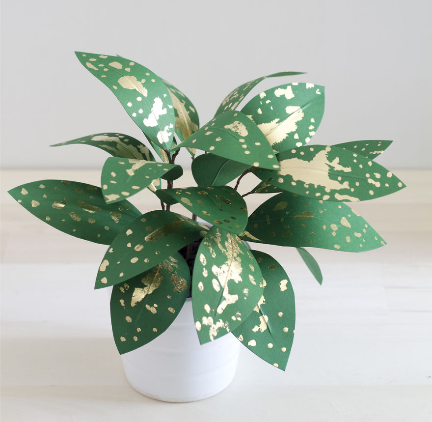 plantas-papel-corrie-beth-hogg (5)