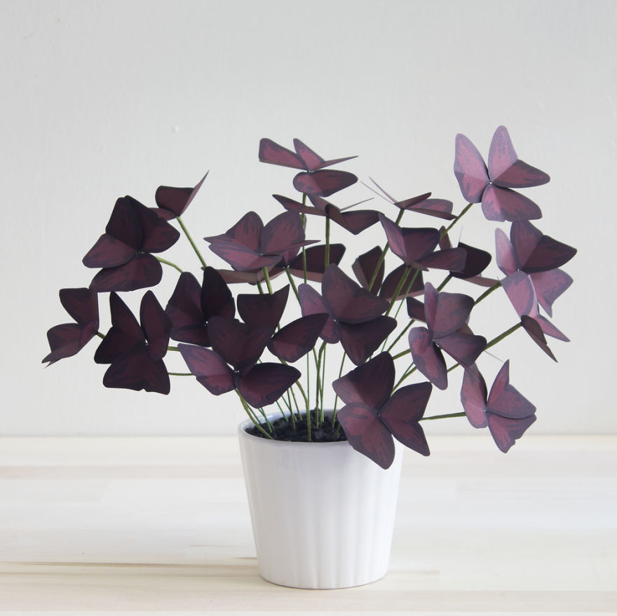 plantas-papel-corrie-beth-hogg (6)