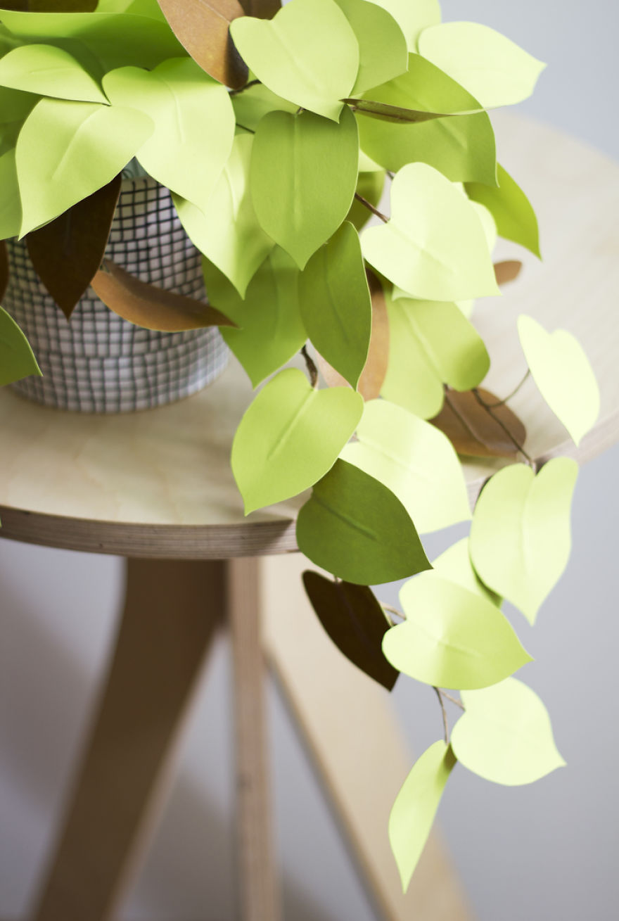 plantas-papel-corrie-beth-hogg (7)