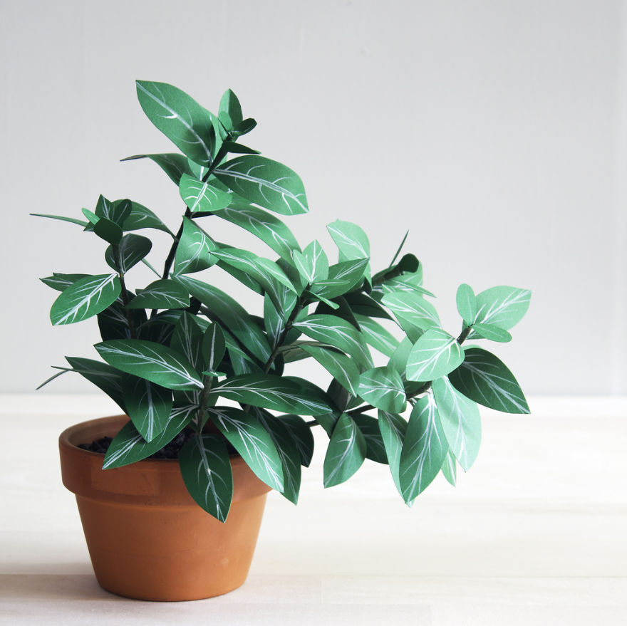 plantas-papel-corrie-beth-hogg (8)