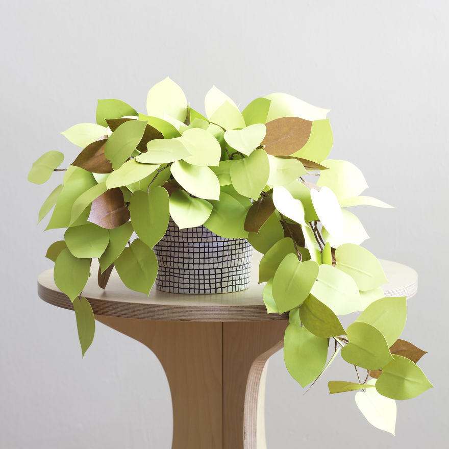 plantas-papel-corrie-beth-hogg (9)