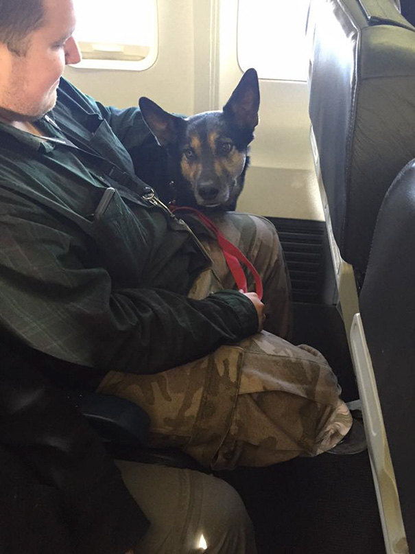 aerolineas-permiso-mascotas-cabina-evacuacion-incendios-canada (2)