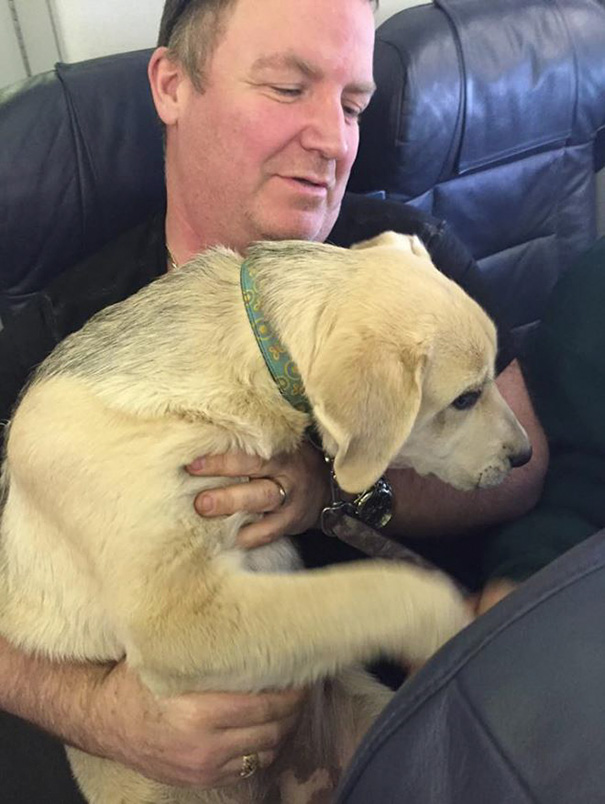 aerolineas-permiso-mascotas-cabina-evacuacion-incendios-canada (7)