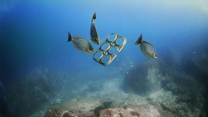 anillas-latas-cerveza-biodegradables-comestibles-saltwater-brewery (2)