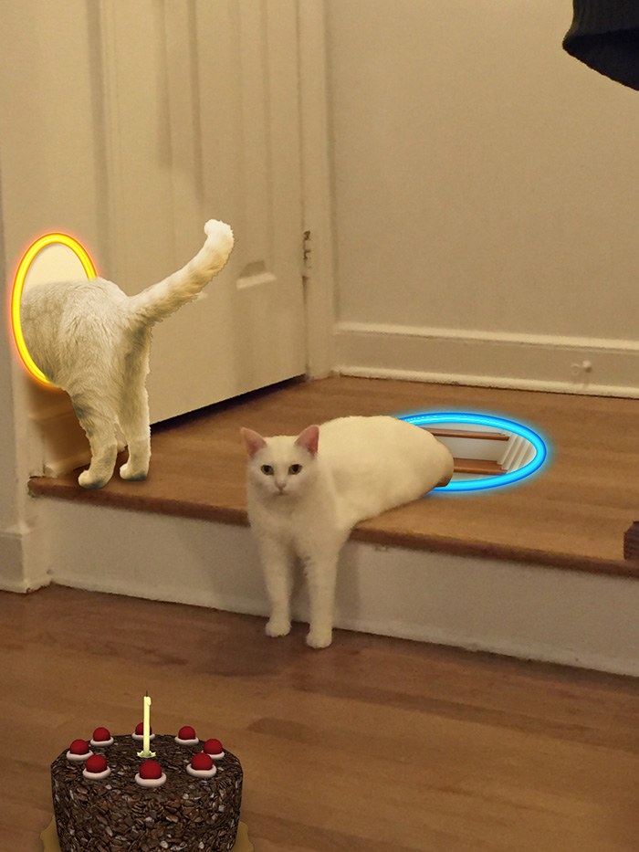 batalla-photoshop-medio-gato (1)