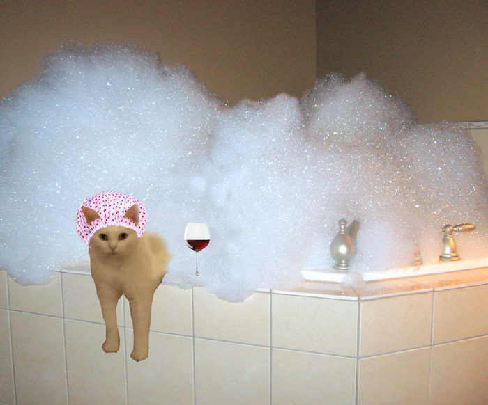 batalla-photoshop-medio-gato (11)